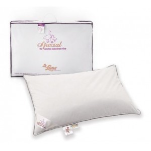 Μαξιλάρια ύπνου - Μαξιλάρι Ύπνου The Special Down 50x70 Soft Προϊόντα Ύπνου