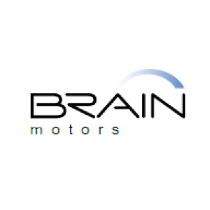 Brain Motors