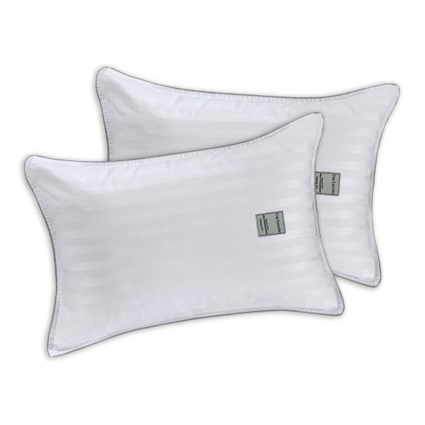 Ζεύγος μαξιλάρια ύπνου medium -Cotton/Poly 50X70 Guy Laroche Guy Laroche